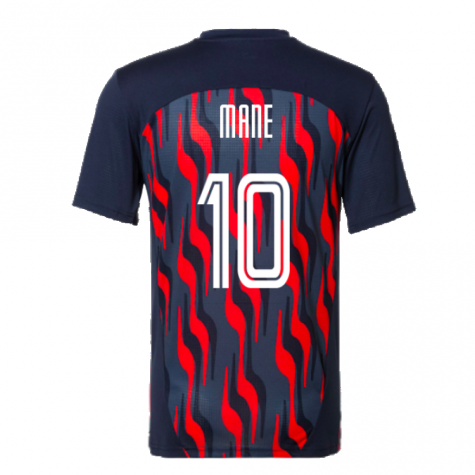 2024-2025 Red Bull Salzburg Pre-Match Shirt (Navy) (Mane 10) 2024-2025 Red Bull Salzburg Pre-Match Shirt (Navy) (Mane 10)
