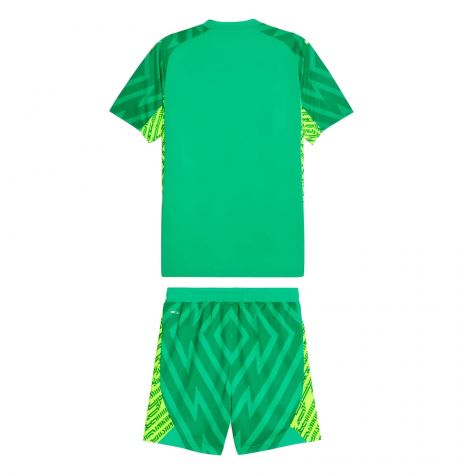 2023-2024 Man City Goalkeeper Mini Kit (Green) 2023-2024 Man City Goalkeeper Mini Kit (Green)
