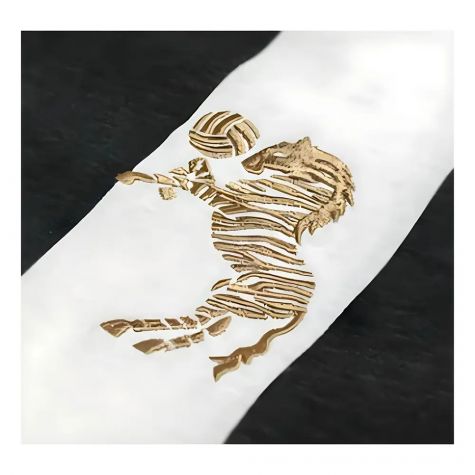 Juventus Home Del Piero Tribute Shirt Pinturicchio Juventus Home Del Piero Tribute Shirt Pinturicchio