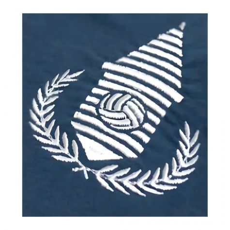 Everton The Tower 10 Retro Football Shirt Everton The Tower 10 Retro Football Shirt