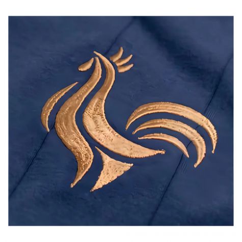 France Tribute Le Roi Platini Football Shirt France Tribute Le Roi Platini Football Shirt