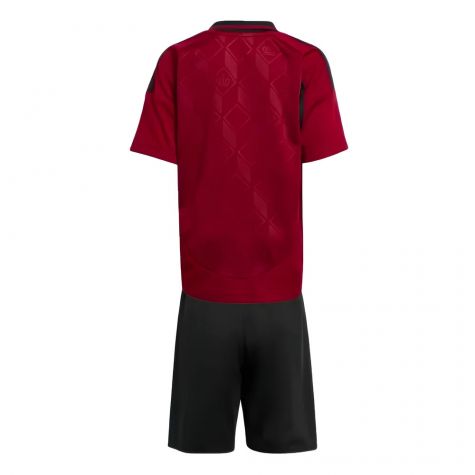 2024-2025 Belgium Home Mini Kit (Your Name) 2024-2025 Belgium Home Mini Kit (Your Name)