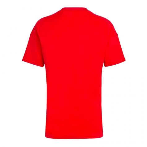 2024-2025 Hungary Home FAN Shirt (PUSKAS 10) 2024-2025 Hungary Home FAN Shirt (PUSKAS 10)