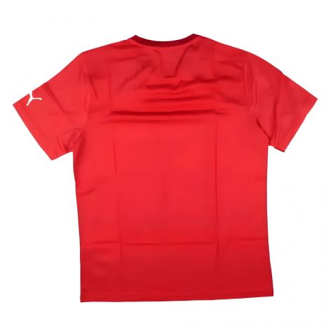 Puma Training Tee (Red) Puma Training Tee (Red)
