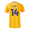 2024-2025 Mansfield Town Home Shirt (Flint 14) 2024-2025 Mansfield Town Home Shirt (Flint 14)