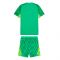 2023-2024 Man City Goalkeeper Mini Kit (Green) 2023-2024 Man City Goalkeeper Mini Kit (Green)