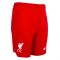 2023-2024 Liverpool Home Shorts (Red) - Kids 2023-2024 Liverpool Home Shorts (Red) - Kids