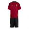 2024-2025 Belgium Home Mini Kit (Your Name) 2024-2025 Belgium Home Mini Kit (Your Name)