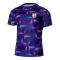 2024-2025 England Academy Pro Pre-Match Shirt (Purple Ink) (Your Name) 2024-2025 England Academy Pro Pre-Match Shirt (Purple Ink) (Your Name)