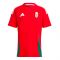2024-2025 Hungary Home FAN Shirt (PUSKAS 10) 2024-2025 Hungary Home FAN Shirt (PUSKAS 10)