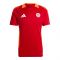 2024-2025 Bayern Munich Training Shirt (Red) (Musiala 42) 2024-2025 Bayern Munich Training Shirt (Red) (Musiala 42)