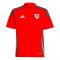 2024-2025 Wales Home Shirt - Kids (Your Name) 2024-2025 Wales Home Shirt - Kids (Your Name)