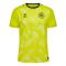 2024-2025 Denmark Home Goalkeeper Shirt (Yellow) (Schmeichel 1) 2024-2025 Denmark Home Goalkeeper Shirt (Yellow) (Schmeichel 1)