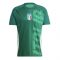 2024-2025 Italy Pre-Match Shirt (Green) (MANCINI 17) 2024-2025 Italy Pre-Match Shirt (Green) (MANCINI 17)