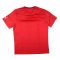 Puma Training Tee (Red) Puma Training Tee (Red)