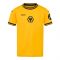 2024-2025 Wolves Home Shirt (Kids) (Hee Chan 11) 2024-2025 Wolves Home Shirt (Kids) (Hee Chan 11)