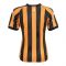2024-2025 Hull City Home Shirt (Your Name) 2024-2025 Hull City Home Shirt (Your Name)