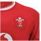 2024-2025 Wales Home Poly Replica Rugby Shirt 2024-2025 Wales Home Poly Replica Rugby Shirt