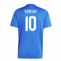 2024-2025 Italy Home Fan Jersey (R.BAGGIO 10) 2024-2025 Italy Home Fan Jersey (R.BAGGIO 10)