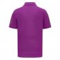 2023 Mercedes Lewis Hamilton Polo Shirt (Purple) 2023 Mercedes Lewis Hamilton Polo Shirt (Purple)
