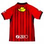 2023 Kashima Antlers Home Shirt 2023 Kashima Antlers Home Shirt