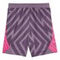 2022-2023 Man City Goalkeeper Shorts (Purple Charcoal) 2022-2023 Man City Goalkeeper Shorts (Purple Charcoal)
