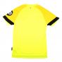 2023-2024 West Ham Change Goalkeeper Shirt (Yellow) 2023-2024 West Ham Change Goalkeeper Shirt (Yellow)