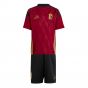 2024-2025 Belgium Home Mini Kit (Your Name) 2024-2025 Belgium Home Mini Kit (Your Name)