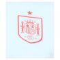 2024-2025 Spain Training Top (Mint) 2024-2025 Spain Training Top (Mint)