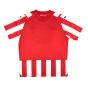 2023-2024 Sporting Gijon Home Shirt 2023-2024 Sporting Gijon Home Shirt