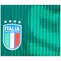 2024-2025 Italy Pre-Match Shirt (Green) (MANCINI 17) 2024-2025 Italy Pre-Match Shirt (Green) (MANCINI 17)
