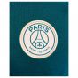 2024-2025 PSG Strike Dri-Fit Training Shirt (Teal) 2024-2025 PSG Strike Dri-Fit Training Shirt (Teal)