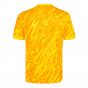 2024-2025 Tottenham Hotspur Goalkeeper Home Shirt (Yellow) 2024-2025 Tottenham Hotspur Goalkeeper Home Shirt (Yellow)