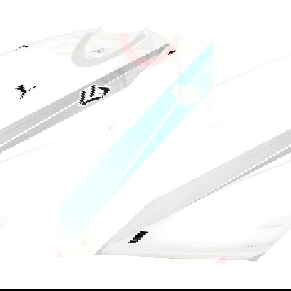 2023-2024 Palermo Third Shirt 2023-2024 Palermo Third Shirt