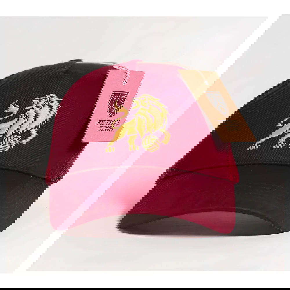 The Villan Trucker Cap The Villan Trucker Cap