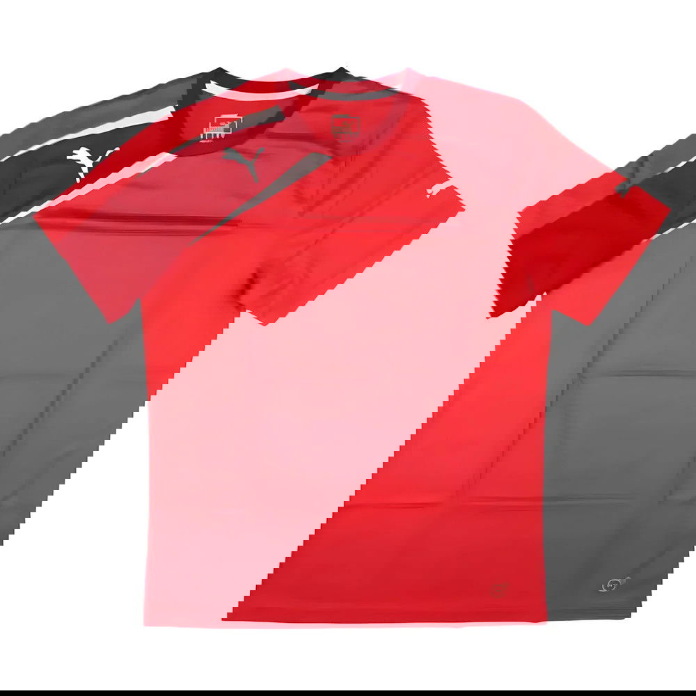 Puma Training Tee (Red) Puma Training Tee (Red)