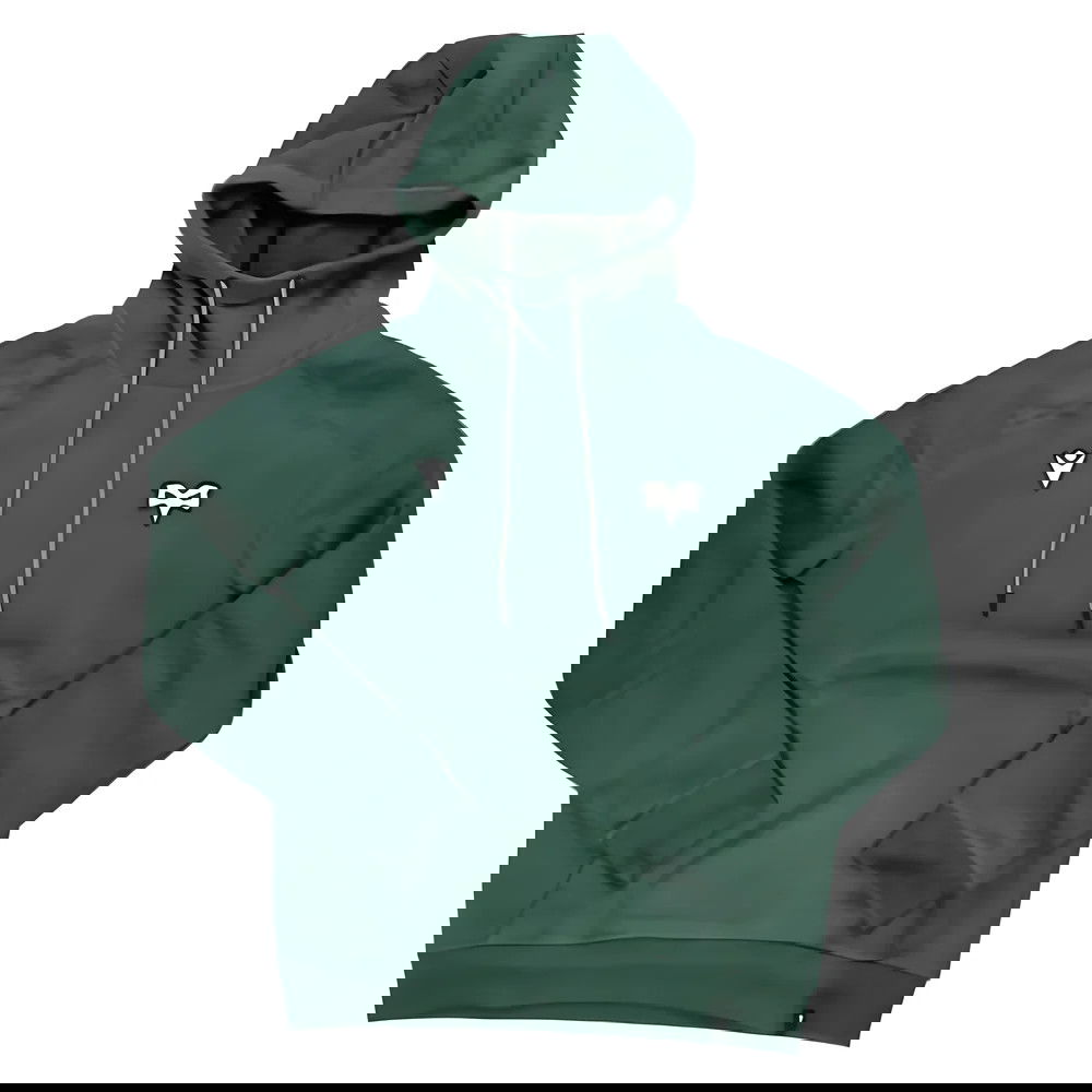2024-2025 Ospreys Rugby Ath Travel Hoody (Green) 2024-2025 Ospreys Rugby Ath Travel Hoody (Green)