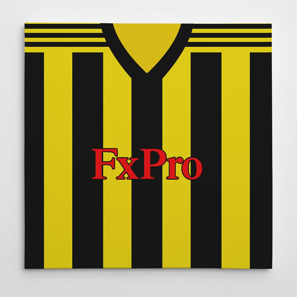 Watford 2018-19 Football Canvas Print