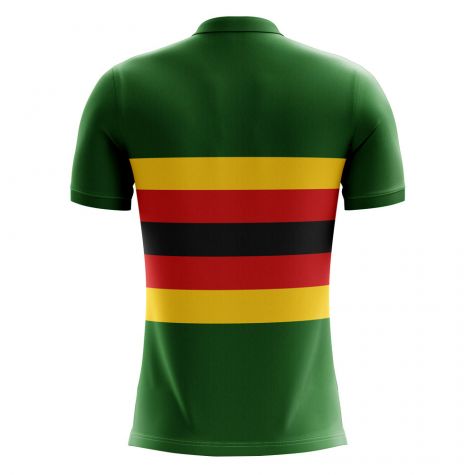 Zimbabwe 2018-2019 Home Concept Shirt - Adult Long Sleeve