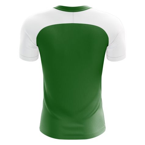 2025-2026 Nigeria Home Concept Football Shirt - Adult Long Sleeve