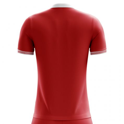 Tunisia 2018-2019 Away Concept Shirt - Adult Long Sleeve