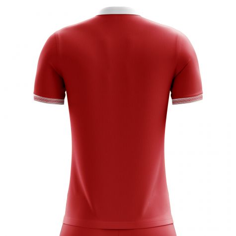 Tunisia 2018-2019 Away Concept Shirt