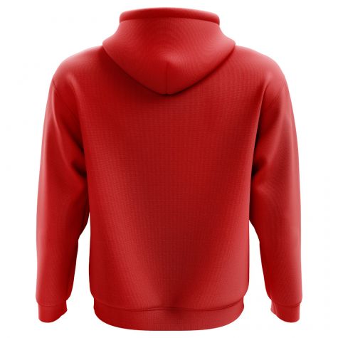 Denmark 2018-2019 Home Concept Hoody (Kids)