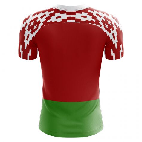 Belarus 2018-2019 Home Concept Shirt - Adult Long Sleeve