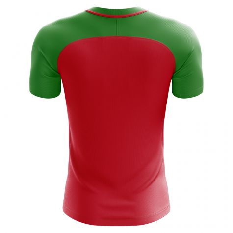 Burkina Faso 2018-2019 Home Concept Shirt - Kids (Long Sleeve)