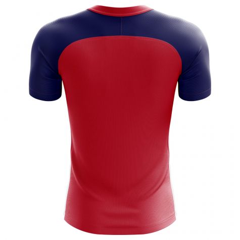 Taiwan 2018-2019 Home Concept Shirt - Adult Long Sleeve