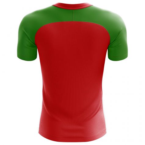 Transnistria 2018-2019 Home Concept Shirt - Kids (Long Sleeve)