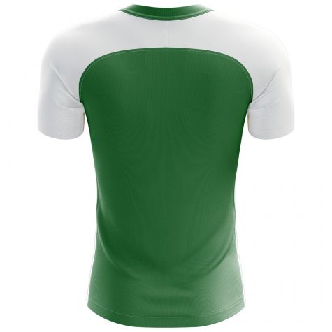 Nigeria 2018-2019 Flag Home Concept Shirt