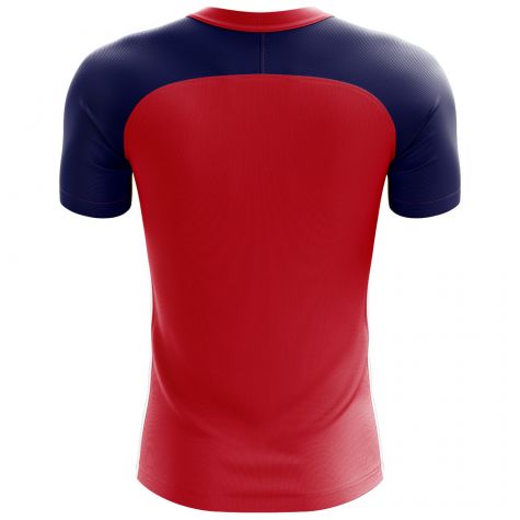 Norway 2018-2019 Flag Concept Shirt