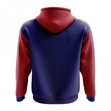 Liechtenstein Concept Country Football Hoody (Navy)